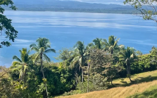 Golfo Dulce oceanfront estate for sale
