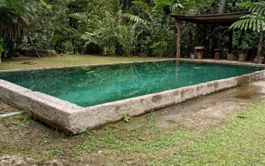 Farm for Sale in Llano Bonito, Golfito Puntarenas | 165 Hectares (Approx.) Near Río Claro