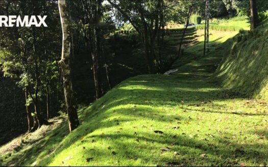 Land for Sale in Pavones 8104m² | Jungle View Property Near Pavones Beach