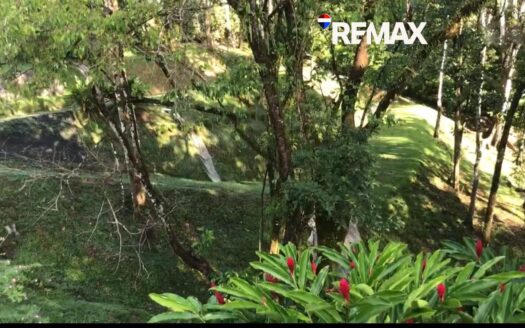 Land for Sale in Pavones 8104m² | Jungle View Property Near Pavones Beach