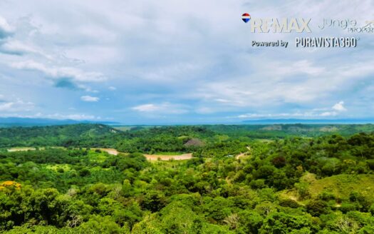 8.8 Hectares Land for Sale Near Pavones Costa Rica with Ocean and River Views