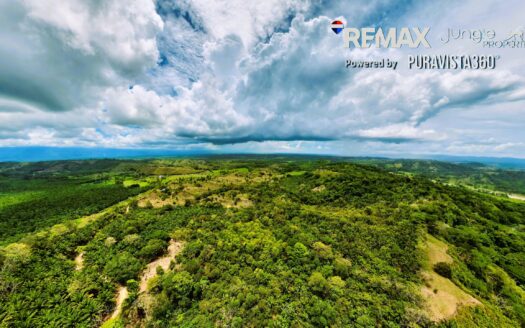 Land for Sale in Costa Rica | 5 Hectares Near Golfito & Pavones Close to River