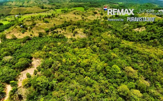 Land for Sale in Costa Rica | 5 Hectares Near Golfito & Pavones Close to River