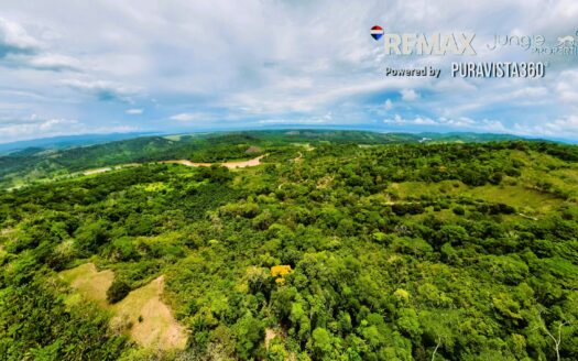 7 Hectares for Sale Near Pavones Costa Rica – Ocean & River View Eco Property