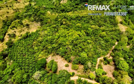 Land for Sale in Costa Rica | 5 Hectares Near Golfito & Pavones Close to River