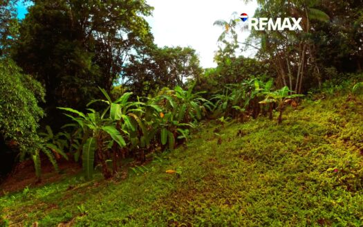 Lot for Sale in Pavones Costa Rica | 900 m² Jungle Property in Santa clara
