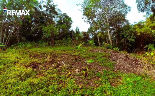 Lot for Sale in Pavones Costa Rica | 900 m² Jungle Property in Santa clara