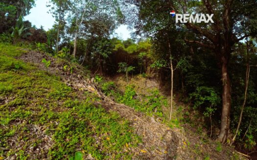 Lot for Sale in Pavones Costa Rica | 900 m² Jungle Property in Santa clara