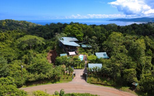Boutique Luxury Hotel for Sale Near Corcovado National Park | Prime Drake Bay Investment !