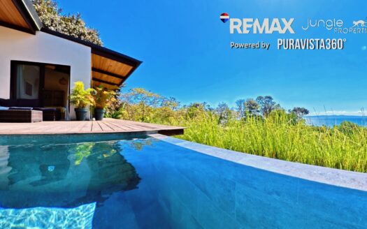 Ocean View Estate in Pavones – Infinity Pool, Guest House & Walk to the Beach & consistent surf