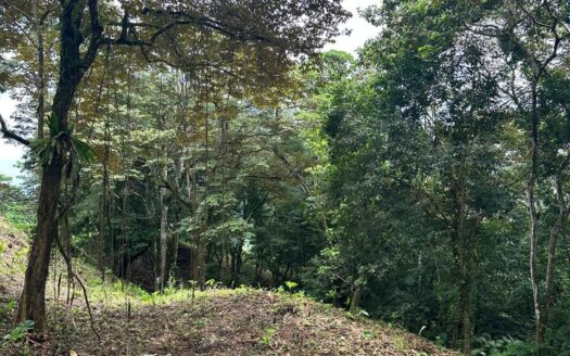 Build Your Dream Retreat Near Pavones, Pilón & Saleas
