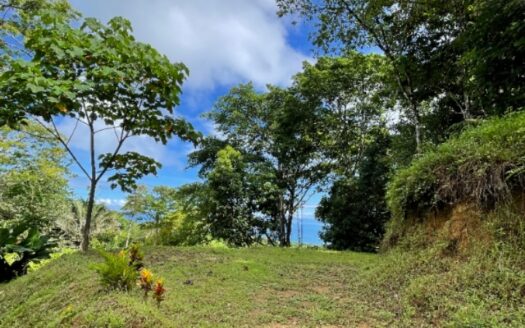 Pavones Jungle Ocean View | 3.8 Acres Near World-Class Surf