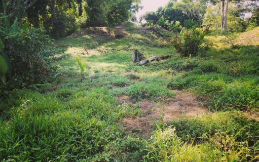 Pavones Jungle Ocean View | 3.8 Acres Near World-Class Surf