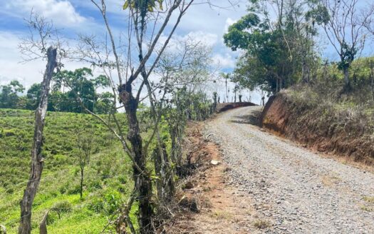 Hermosa finca en Limoncito de Coto Brus