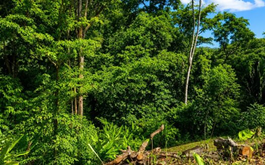 Extraordinary Ocean View Homesite Overlooking Golfo Dulce