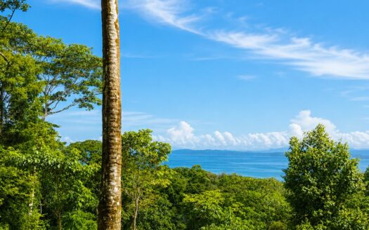 Extraordinary Ocean View Homesite Overlooking Golfo Dulce