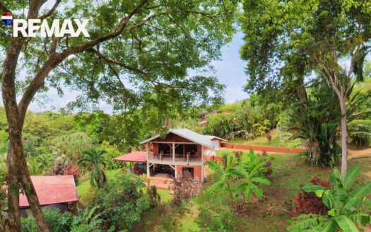 Ocean & Jungle Estate in Pavones, Costa Rica | 1.36 Acres