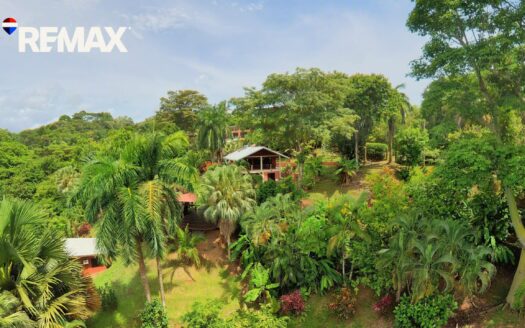 Ocean & Jungle Estate in Pavones, Costa Rica | 1.36 Acres