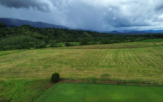 Ideal property for a large-scale real estate or commercial project.