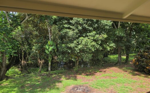 Titled Jungle Home in Zancudo | $325,000