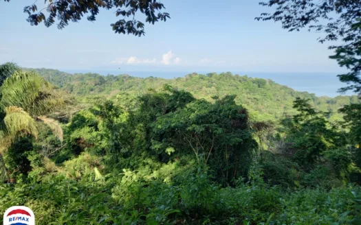 Premier 5 Hectare Full Oceanview Estate Lot