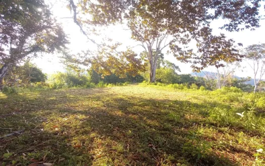 Premier 5 Hectare Full Oceanview Estate Lot