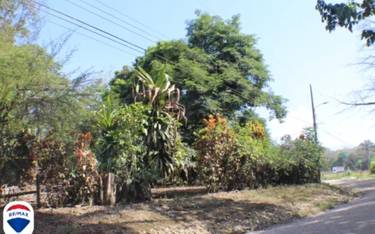 Large La Yerba Corner Lot Creek