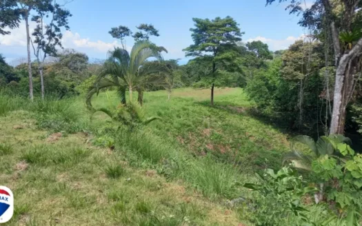 Large Ocean View Parcel