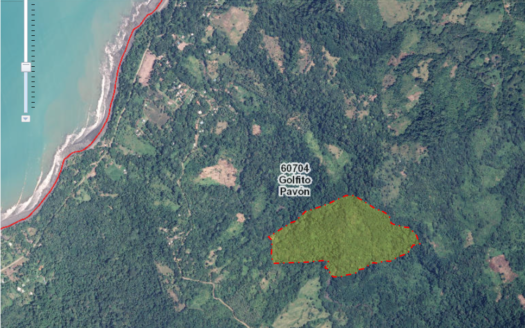 Large Pavones Oceanview Estate or Eco-Lodge Property