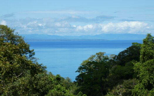 Large Pavones Oceanview Estate or Eco-Lodge Property