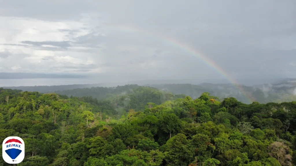 buying real estate in costa rica osa peninsula