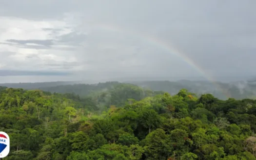 Gulfview Lot with Surrounding Jungle
