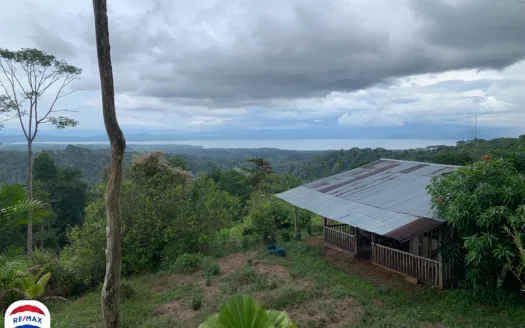 Gulfview Lot with Surrounding Jungle