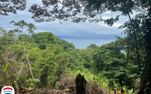 Homesite Ocean View and Walk to Town