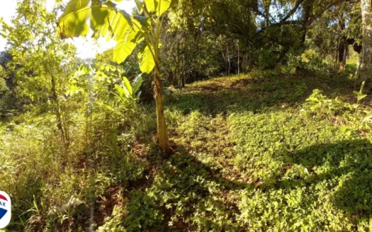 Ocean view Lot in Cocal Amarillo