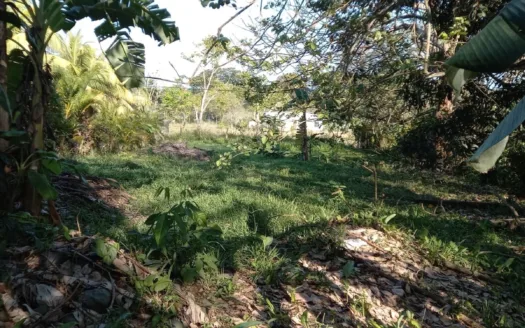 Ocean view Lot in Cocal Amarillo