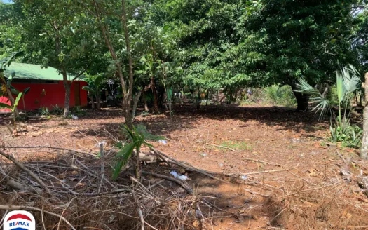 Property Located in the Heart of Puerto Jimenez