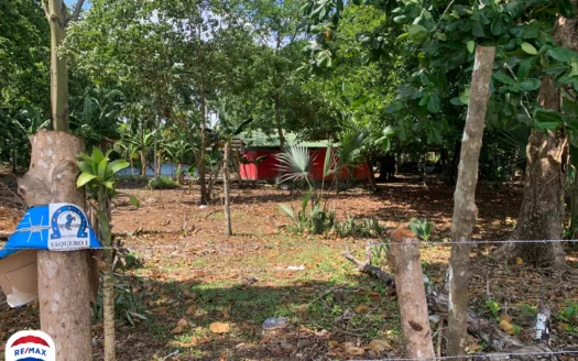 Property Located in the Heart of Puerto Jimenez