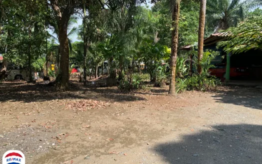 Property Located in the Heart of Puerto Jimenez