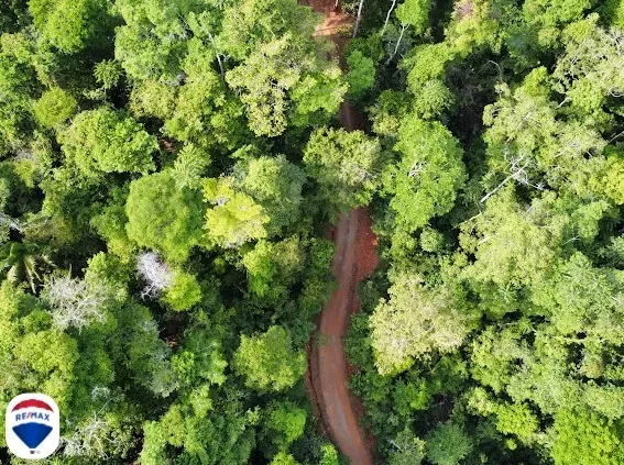 Sierpe Osa Peninsula Costa Rica