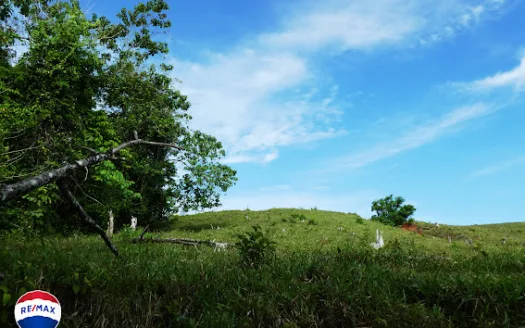 Quiet Ocean View Lot