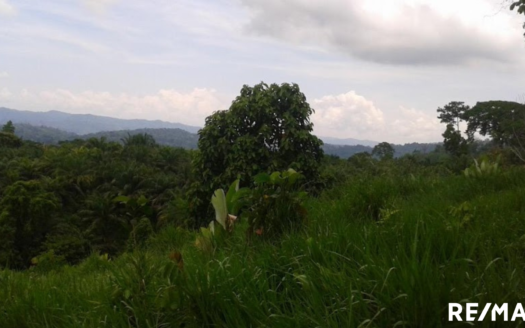 Potential Agricultural Revival Estate and Year-Round Beauty.