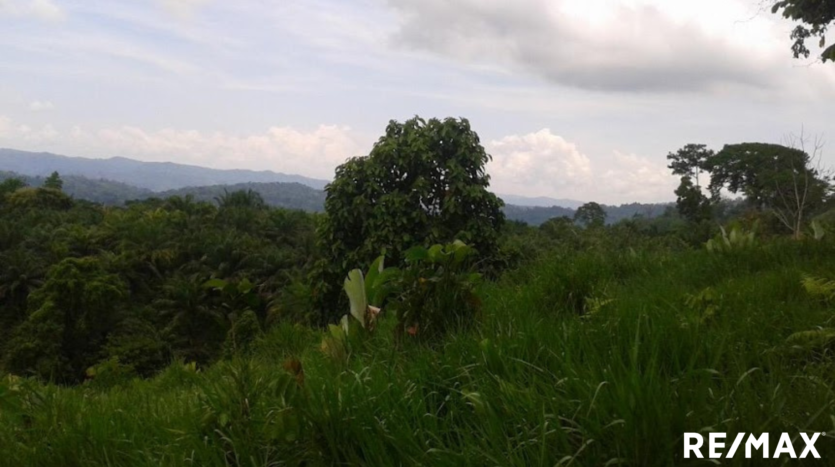 Potential Agricultural Revival Estate and Year-Round Beauty.