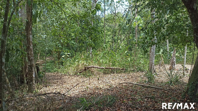 Tranquil Tropics Hideaway Property