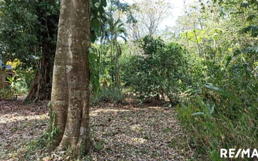 Tranquil Tropics Hideaway Property