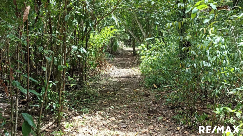 Tranquil Tropics Hideaway Property