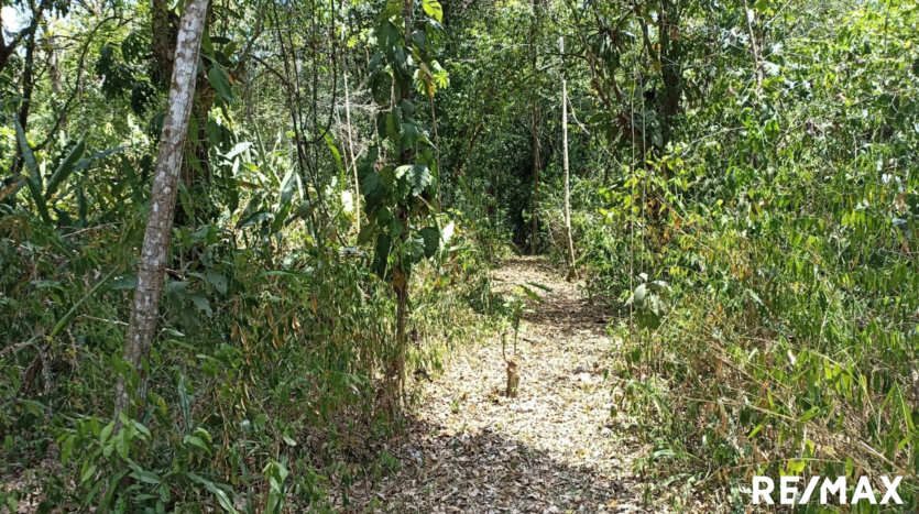 Tranquil Tropics Hideaway Property