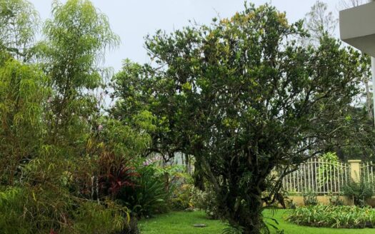 Exquisite Residence in Aguas Claras with Breathtaking Vistas