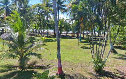 Oceanfront Home, Cabinas and Comercial BeachFront Property