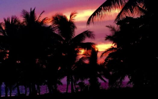 Oceanfront Home, Cabinas and Comercial BeachFront Property